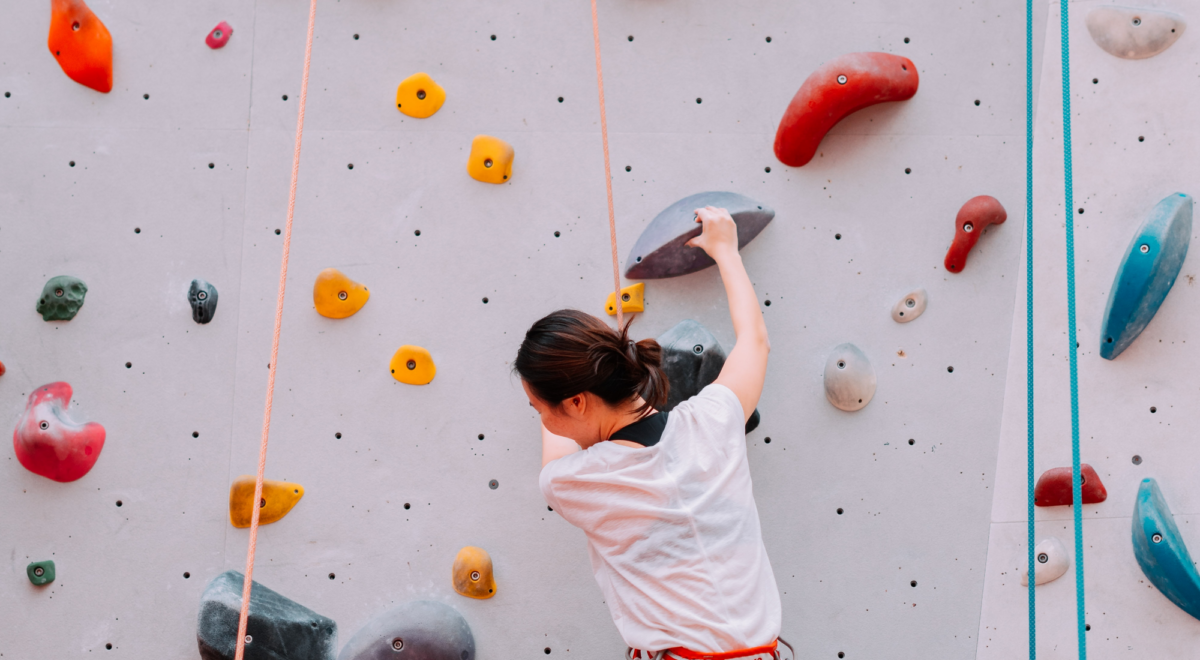 Premium Photo  Fitness, extreme sport and healthy lifestyle concept -  climber holds the rope. slender girl holds climbing equipment at a rock  wall. and looking at camera on background of rock